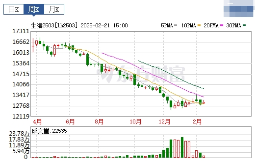 今日猪价 | 2025.02.23猪价行情
