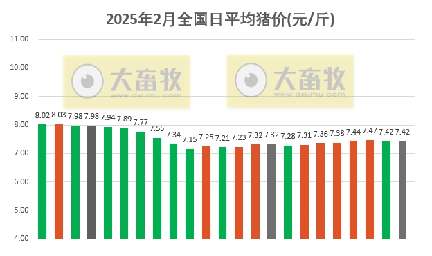 今日猪价 | 2025.02.23猪价行情