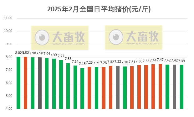 今日猪价 | 2025.02.24猪价行情