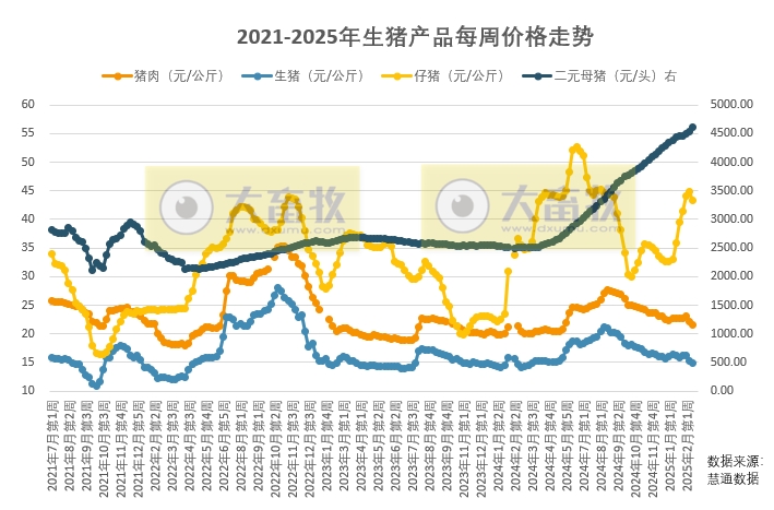 养殖集团下旬或加速出栏,仔猪价格继续偏弱,预计近期猪价或呈季节性走弱趋势