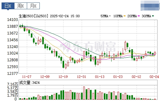 今日猪价 | 2025.02.25猪价行情