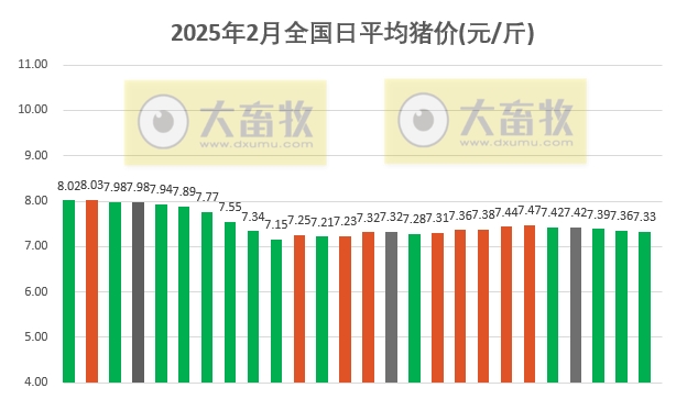 今日猪价 | 2025.02.26猪价行情——连续3天下跌