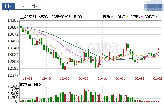 今日猪价 | 2025.02.26猪价行情——连续3天下跌