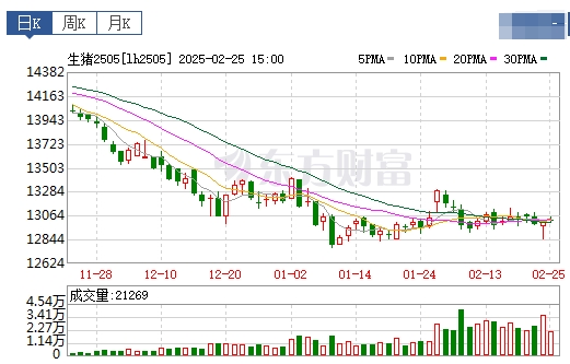 今日猪价 | 2025.02.26猪价行情——连续3天下跌