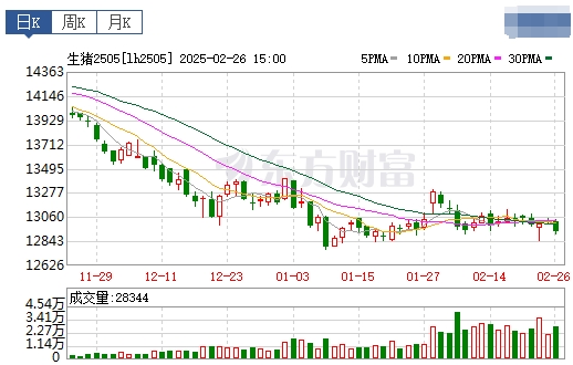 今日猪价 | 2025.02.27猪价行情