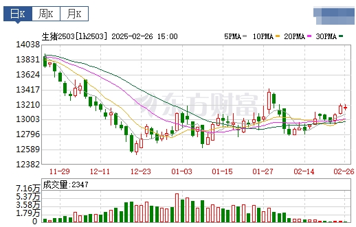 今日猪价 | 2025.02.27猪价行情