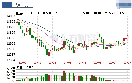 今日猪价 | 2025.02.28猪价行情——大部分下跌,且跌至近15天最低价