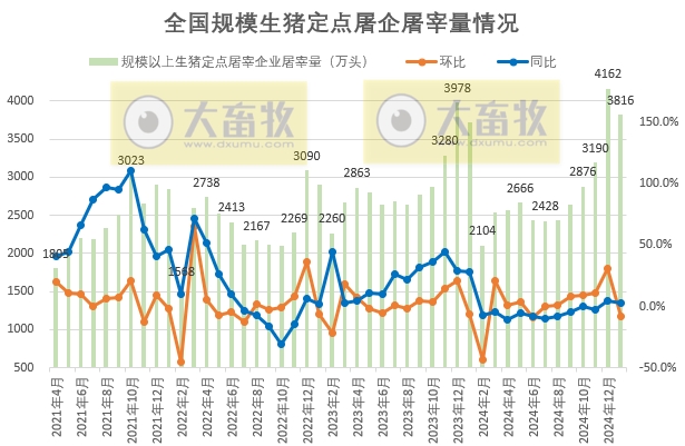 2025年1月全国规模以上生猪定点屠宰企业的屠宰量情况