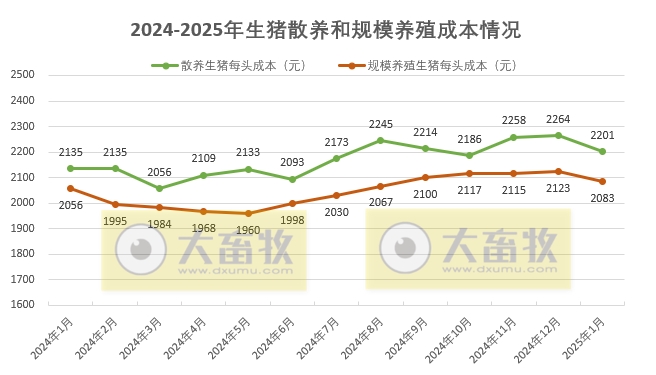 2025年1月全国散养和规模养殖生猪成本收益情况