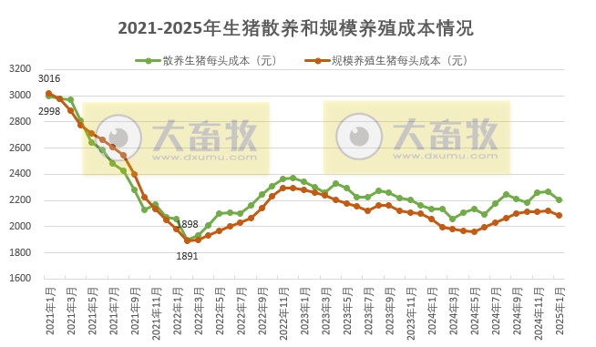 2025年1月全国散养和规模养殖生猪成本收益情况
