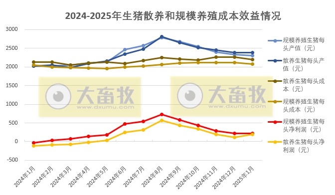 2025年1月全国散养和规模养殖生猪成本收益情况