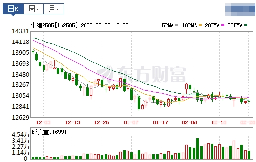 今日猪价 | 2025.03.01猪价行情
