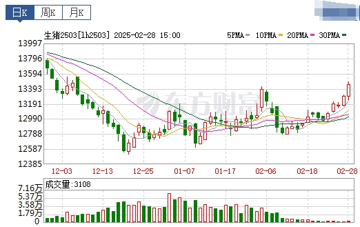 今日猪价 | 2025.03.01猪价行情