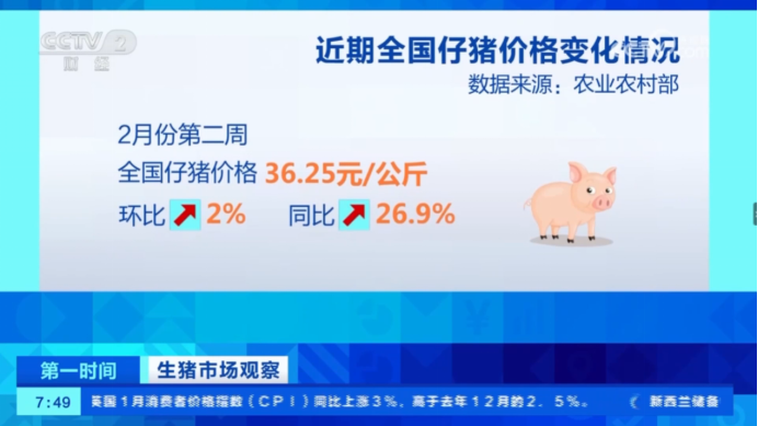 能繁母猪存栏量即将超出绿色调控区间，三个精准调控可面对这场"温水煮青蛙"式的行业危机