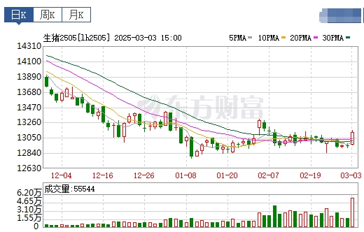 今日猪价 | 2025.03.04猪价行情