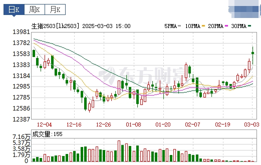今日猪价 | 2025.03.04猪价行情