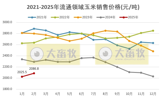2025年3月中国玉米供需形势分析