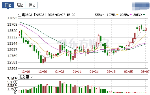 今日猪价 | 2025.03.08猪价行情