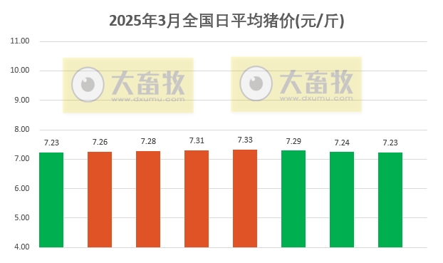 今日猪价 | 2025.03.08猪价行情