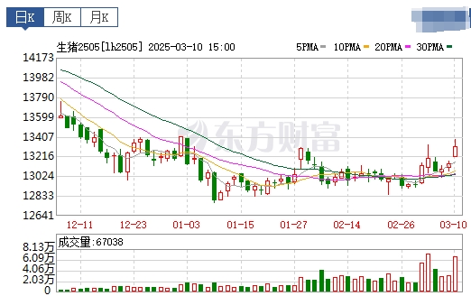 今日猪价 | 2025.03.11猪价行情