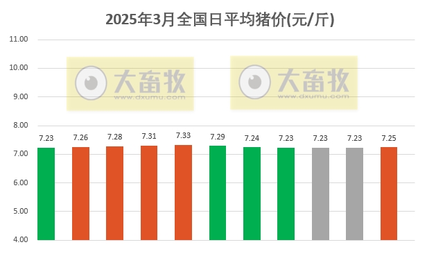 今日猪价 | 2025.03.11猪价行情