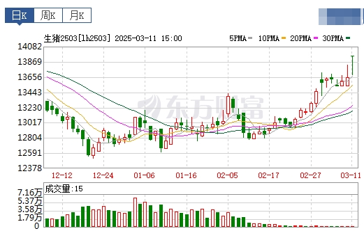 今日猪价 | 2025.03.12猪价行情——大多数上涨,且涨至3月以来最高价