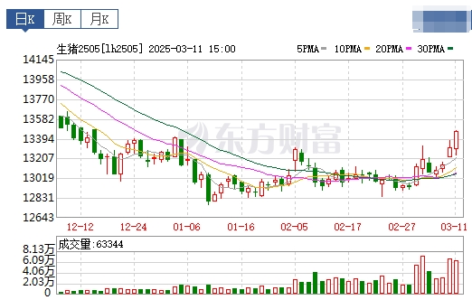 今日猪价 | 2025.03.12猪价行情——大多数上涨,且涨至3月以来最高价