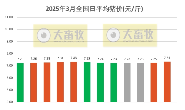 今日猪价 | 2025.03.12猪价行情——大多数上涨,且涨至3月以来最高价