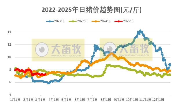 今日猪价 | 2025.03.12猪价行情——大多数上涨,且涨至3月以来最高价