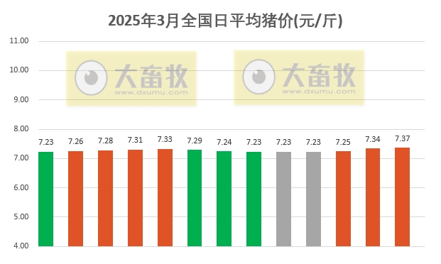 今日猪价 | 2025.03.13猪价行情——上涨幅度收窄