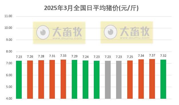 今日猪价 | 2025.03.14猪价行情——超半数省份出现下跌