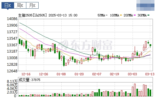 今日猪价 | 2025.03.14猪价行情——超半数省份出现下跌