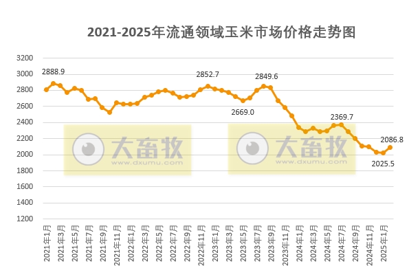 2025年3月中国玉米供需形势分析