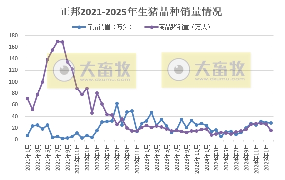 新希望、德康、大北农和正邦2025年1-2月生猪销售情况