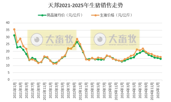中粮、天邦、唐人神和天康2025年1-2月生猪销售情况