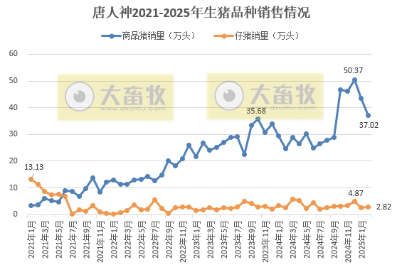中粮、天邦、唐人神和天康2025年1-2月生猪销售情况