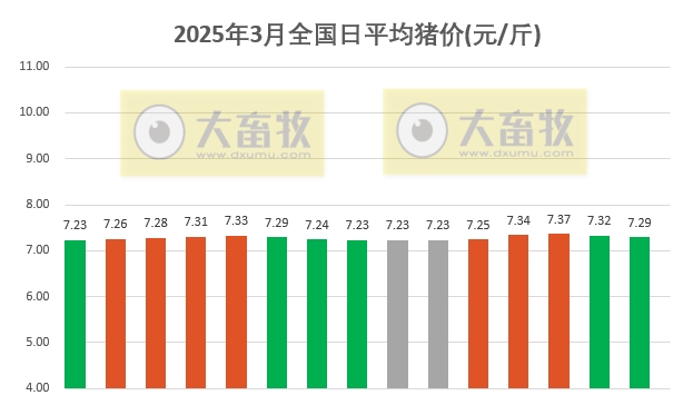 今日猪价 | 2025.03.15猪价行情