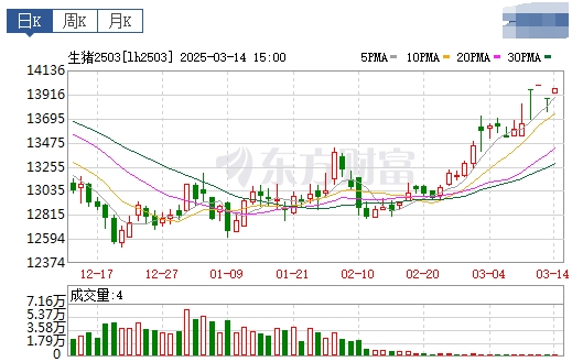 今日猪价 | 2025.03.15猪价行情