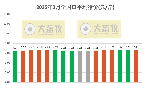 今日猪价 | 2025.03.16猪价行情