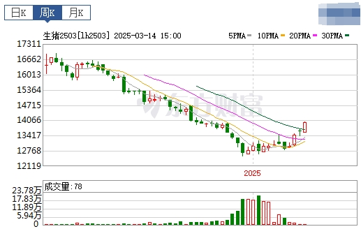 今日猪价 | 2025.03.16猪价行情