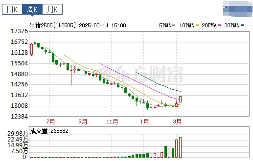 今日猪价 | 2025.03.16猪价行情