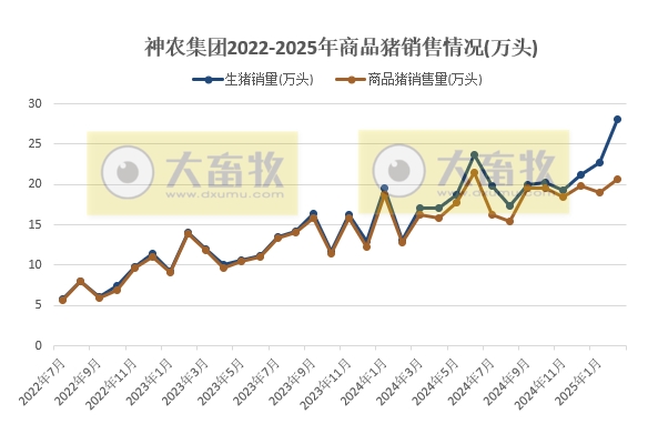 神农、华统、立华和京基2025年1-2月生猪销售情况