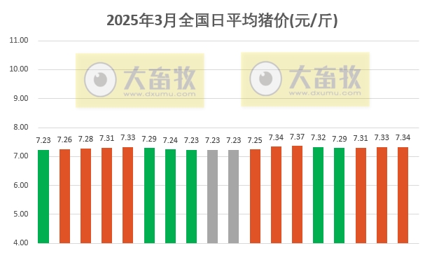 今日猪价 | 2025.03.18猪价行情