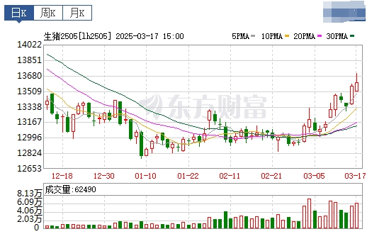 今日猪价 | 2025.03.18猪价行情