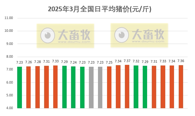 今日猪价 | 2025.03.19猪价行情——半数省份出现上涨