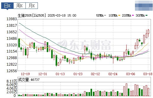 今日猪价 | 2025.03.19猪价行情——半数省份出现上涨