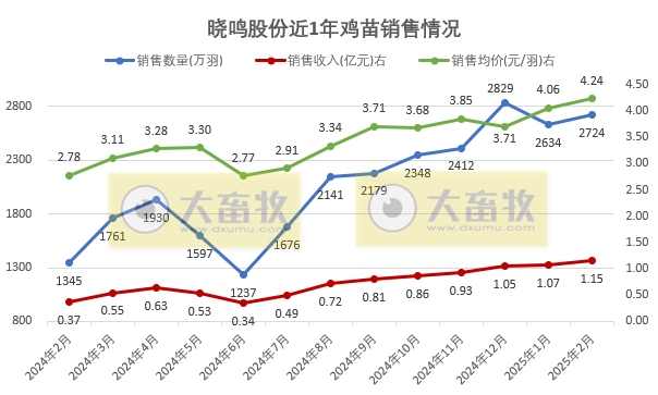 益生、民和和晓鸣2025年1-2月鸡苗销售情况