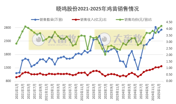 益生、民和和晓鸣2025年1-2月鸡苗销售情况