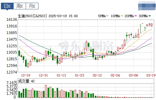 今日猪价 | 2025.03.20猪价行情——上涨至3月以来最高价