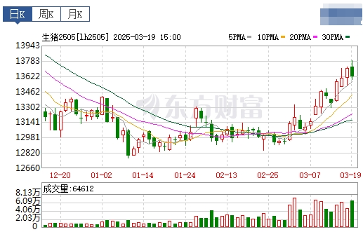 今日猪价 | 2025.03.20猪价行情——上涨至3月以来最高价